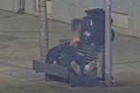 Kamera v Bratislave zachytila zlodeja pri cine Mestski policajti tvrdia ze okradnutie spiaceho sledovali v priamom prenose