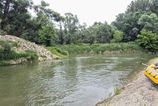 tajomstvo maleho foki odhalene vyschnute rameno sa ochranarom podarilo premenit na oazu ktoru ako prva preplavila slovenka