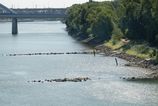Nízka hladina Dunaja komplikuje dopravu na rieke: Lode s väčším ponorom nemôžu preplávať niektorými úsekmi. 2 Nizka hladina Dunaja komplikuje dopravu na rieke Lode s vacsimi ponorom nemozu preplavat niektorymi usekmi