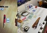 Policia rozlozila skupinu organizujucu nelegalne psy zapasy v troch krajoch