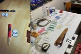 Policia rozlozila skupinu organizujucu nelegalne psy zapasy v troch krajoch