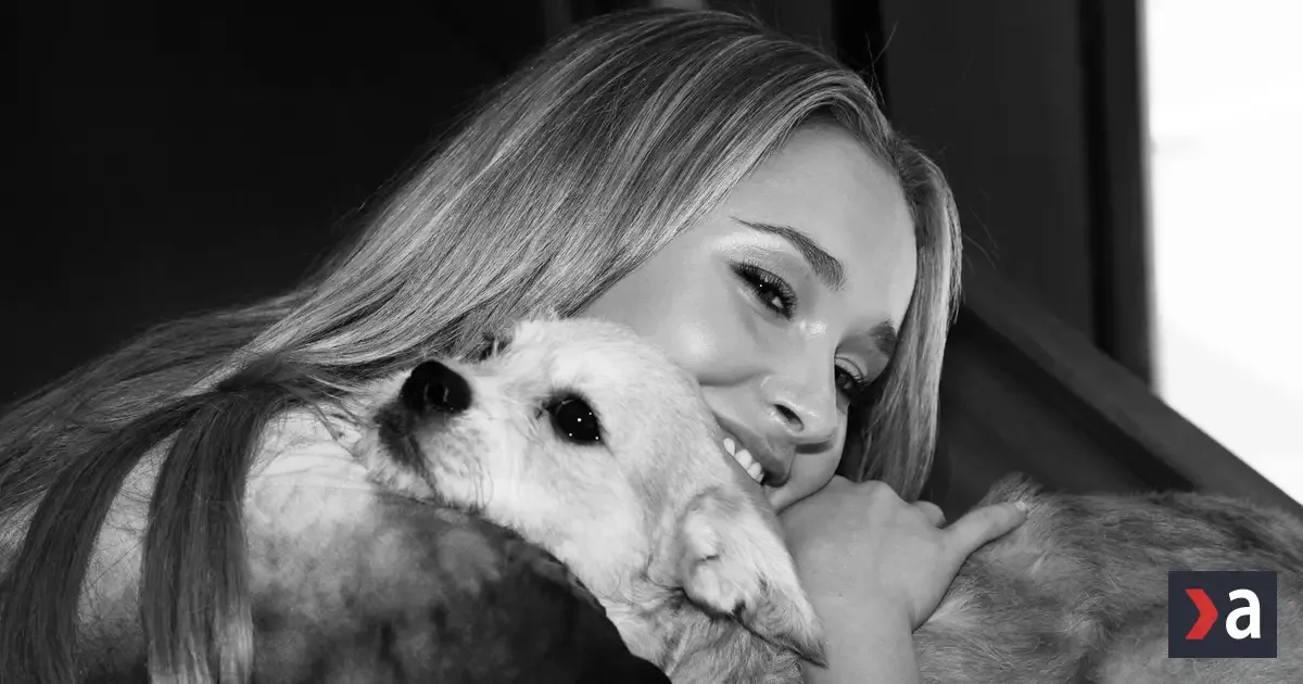 Americká herečka Hayden Panettiereová zomrela na predávkovanie 3 Americká herečka Hayden Panettiereová zomrela na predávkovanie