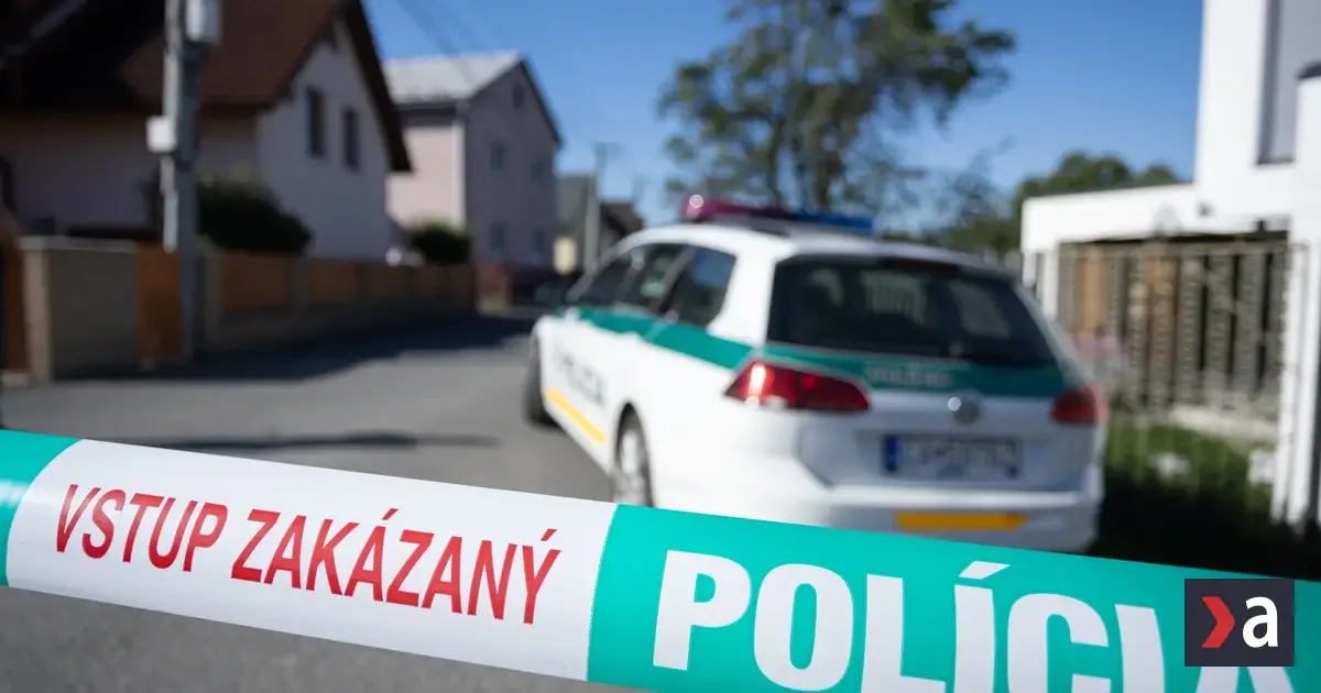 Deň pred útokom v Staškove bolo okno príležitostí. Analytik videl nesprávnu techniku