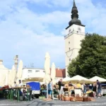 Nové rozdelenie kresiel v zastupiteľstve Trnavského kraja