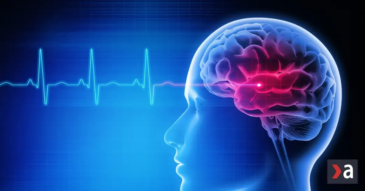 Poľská neurologička prezrádza štyri pravidlá pre bystrú myseľ 2 Poľská neurologička prezrádza štyri pravidlá pre bystrú myseľ