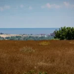V nedeľu sa od západu zatiahne, na niektorých miestach zaprší. Na horách hrozí víchrica