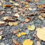 Východ Slovenska čakajú v nedeľu zrážky, na severe chladnejšie