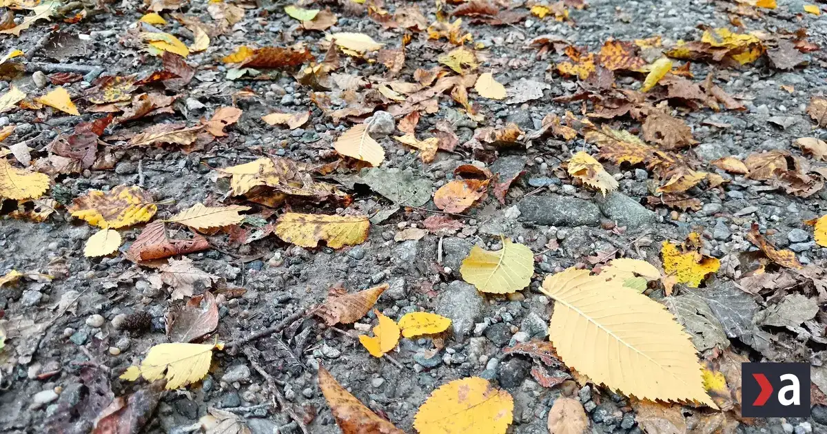 Východ Slovenska čakajú v nedeľu zrážky, na severe chladnejšie